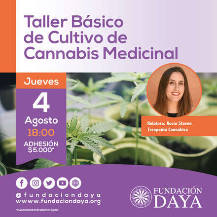 Taller Básico de Cultivo de Cannabis Medicinal 4 agosto 2022