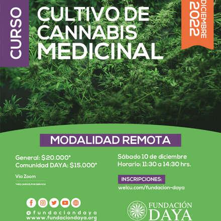 Curso de Cultivo de Cannabis Medicinal - Modalidad Remota - Diciembre 2022