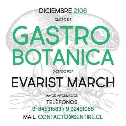 Curso Gastrobotanica Santiago