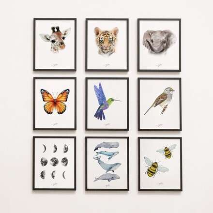 Ballenas de acuarela junto a Jojó Rodríguez y The Color Shop 