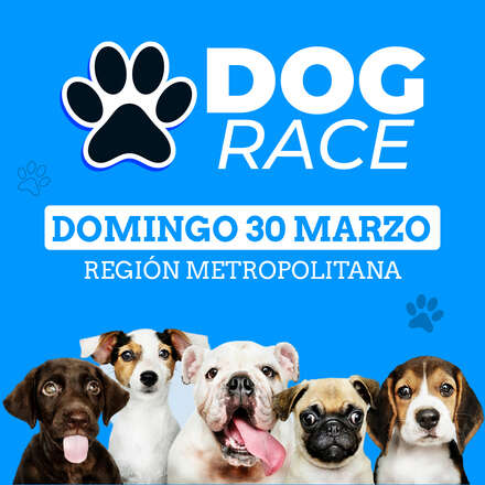 Dog Race 