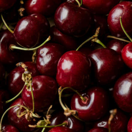 Descuento Especial Entradas al 3° Curso Poscosecha de Cerezos, Énfasis en Manejo de Huerto