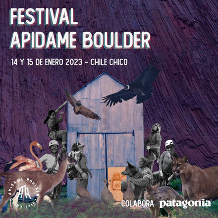 Festival Apidame Boulder