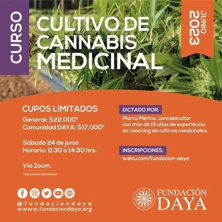 Curso de Cultivo de Cannabis Medicinal - junio 2023