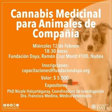 Cannabis Medicinal para Animales de Compañía