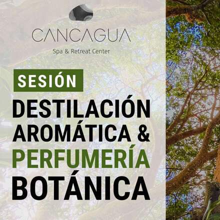 Destilación Aromatica y Perfumeria Botanica