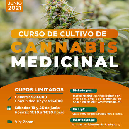 Curso de Cultivo de Cannabis Medicinal junio 2021