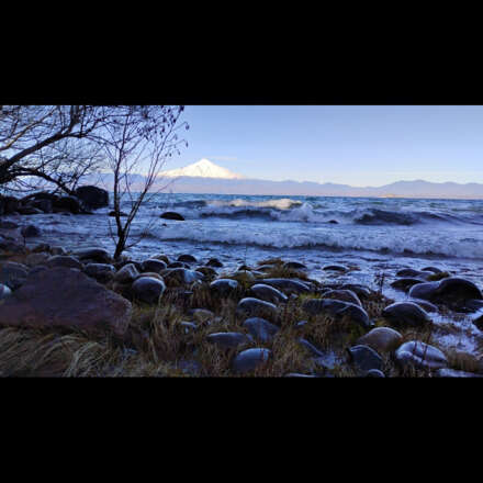 Sendero norte hacia el Lago Villarrica 