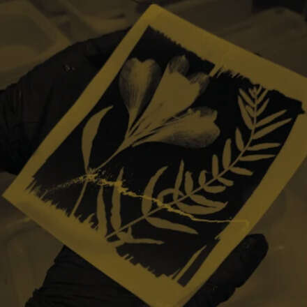 Cianotipia - técnica de revelado fotográfico junto a Fabiola Barrera-Castillo