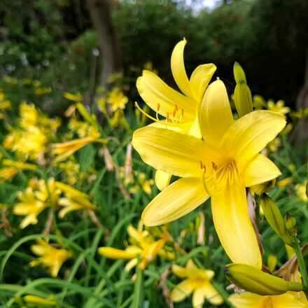 Excursión Botánica Guiada 10/01/26