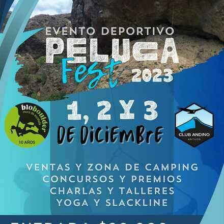 Peluca Fest 2023