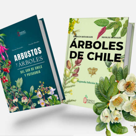 LANZAMIENTO LIBROS: BOSQUE CHILENO_“ÁRBOLES DE CHILE” “ARBUSTOS Y ÁRBOLES DEL SUR  DE CHILE Y PATAGONIA”