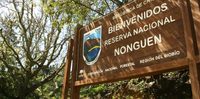 Reserva Nacional Nonguén Martes 15 de Diciembre