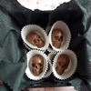 ChocoSkulls